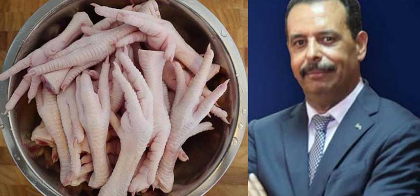 محمد بن طلحة الدكالي: أرجل الدجاج ومشاريع القوة الضاربة في الجزائر