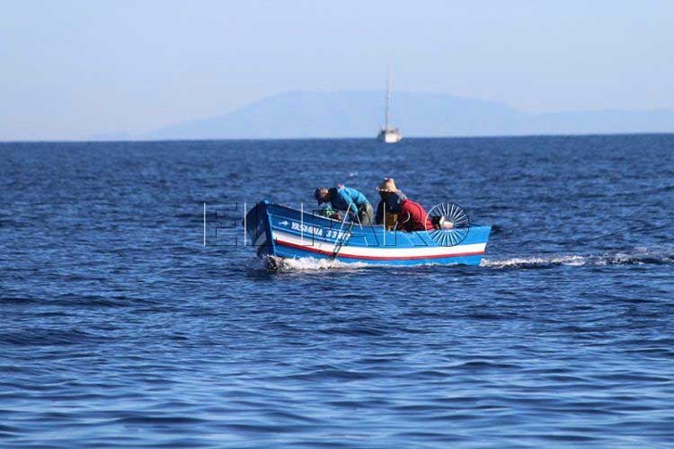 قوارب صيد مغربية بمياه سبتة المحتلة تثير جدلا بين حكومة مدريد وحزب "فوكس"