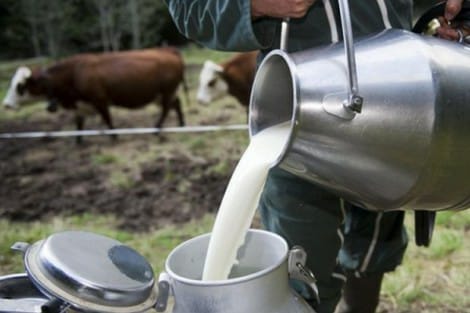 منتجو الحليب  يقررون تنظيم وقفة احتجاجية في هذا التاريخ