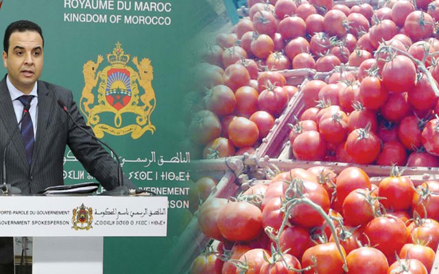 " الطماطم" تخرج لسان الناطق الرسمي باسم الحكومة