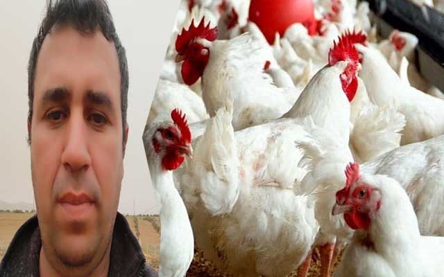 أحمد الشيحي: أسعار الدجاج في المغرب قد تصل إلى مستوى الأسعار في الجزائر خلال شهر رمضان