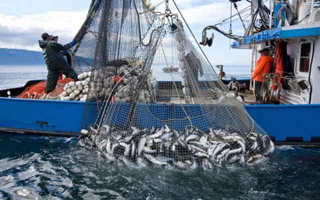 آسفي .. ارتفاع قيمة منتجات الصيد الساحلي والتقليدي خلال الفصل الأول من 2022