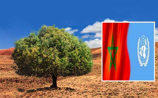 المغرب والأمم المتحدة يحتفيان بالذكرى الثانية لليوم العالمي الأول لشجرة "أركان"