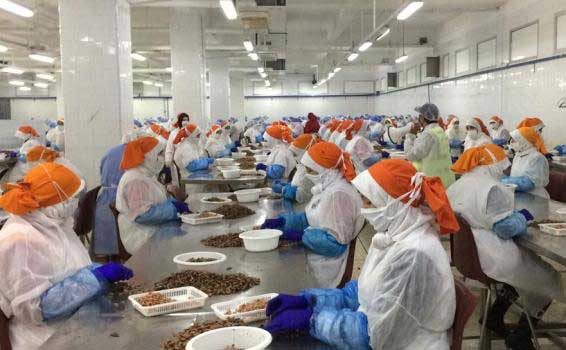 "أونسا" تطلق أياما تحسيسية للتعاونيات العاملة في القطاع الغذائي