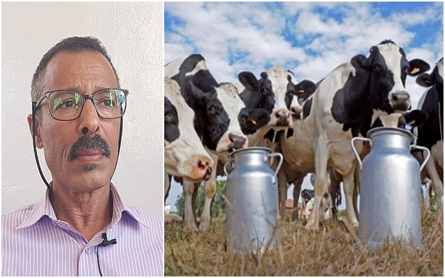 بوكريزية: من ينصت لمحنة الفلاح والكساب أمام جشع  شركات تصنيع الحليب وشركات الأعلاف؟( مع فيديو)