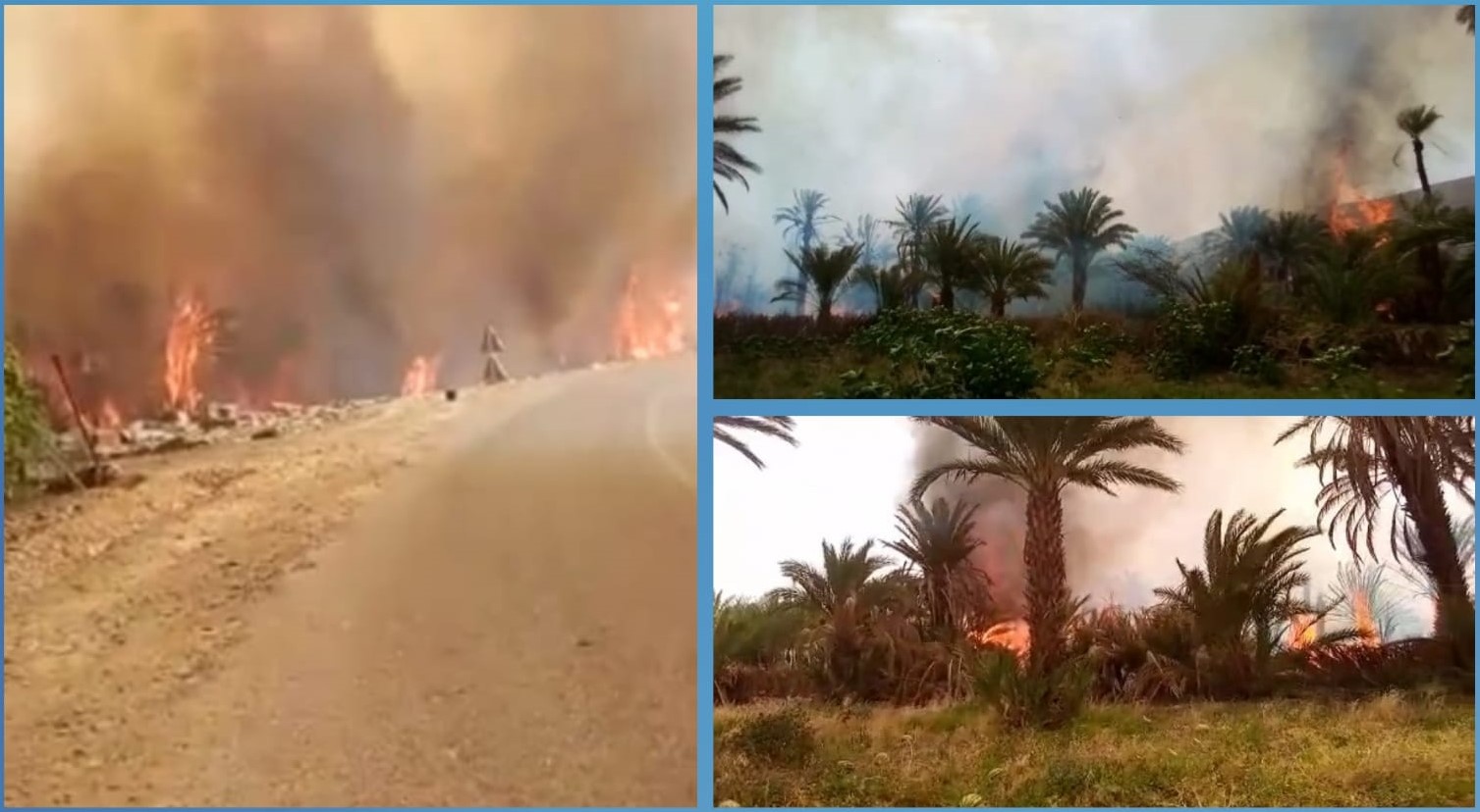 فاجعة بطاطا: حريق يلتهم 13 ألف نخلة بواحة ألوكوم (مع فيديو)