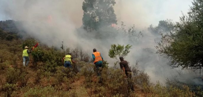 هذه هي خسائر حريق غابة بني ايدر بإقليم تطوان