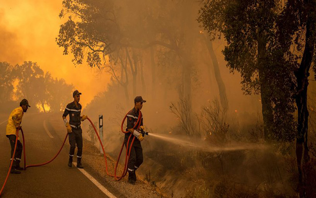 تحويط حوالي 50 في المائة من حريق غابة آل سريف بإقليم العرائش