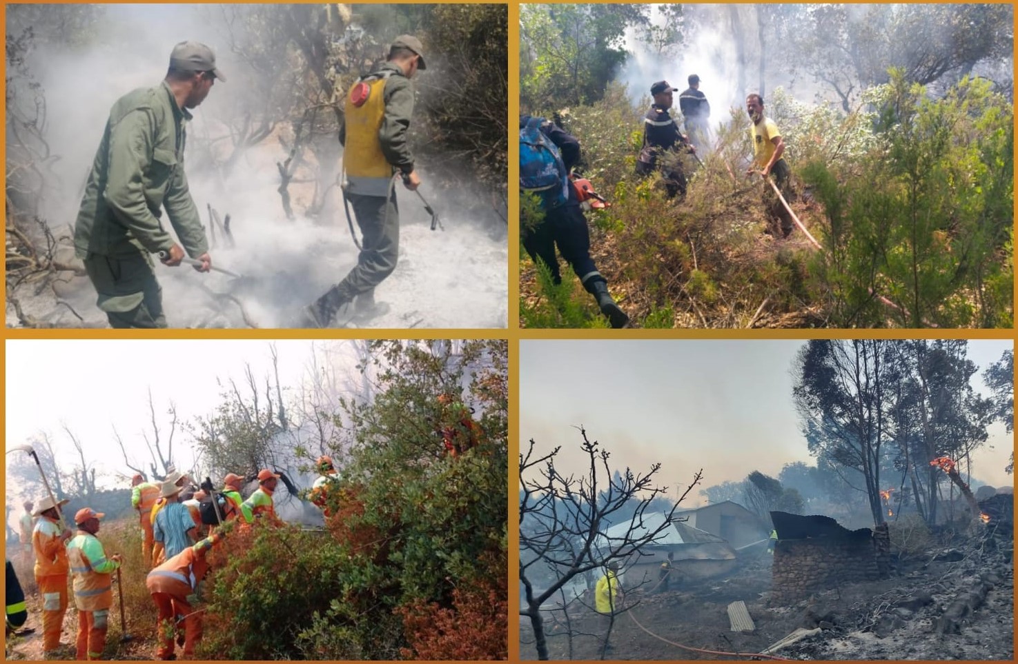 جهود متواصلة لإخماد الحريق الغابوي بغابة بني إيدر بإقليم تطوان
