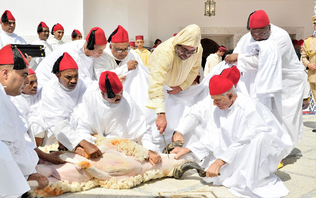 الملك محمد السادس يؤدي صلاة عيد الأضحى وينحر أضحية العيد (مع فيديو)