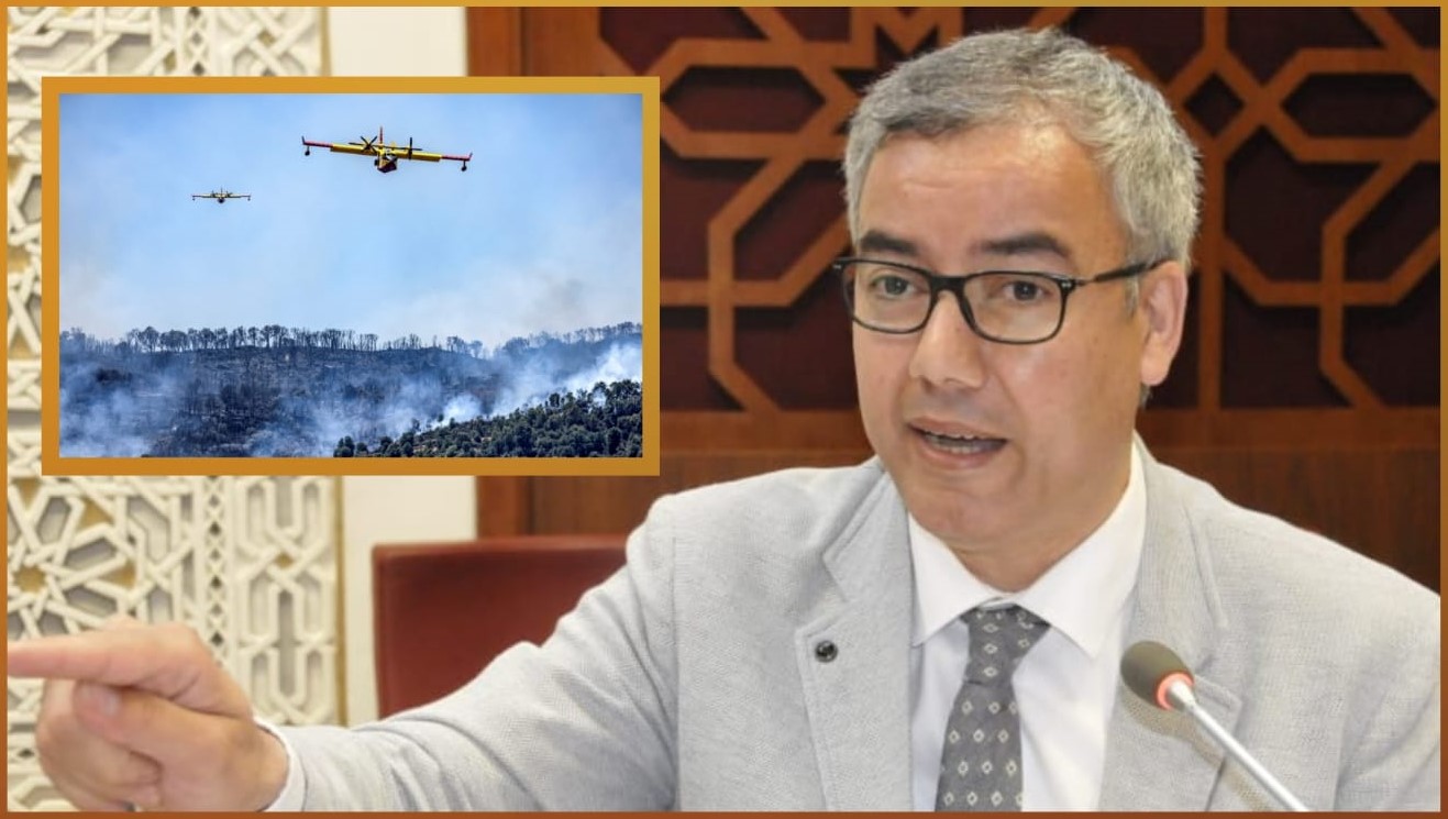 أحمد نور الدين: هكذا أشعلت طائرات الكانادير المغربية حريقا من الحسد الأسود في قلوب جنرالات الجزائر