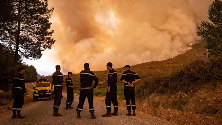 تاونات: تحويط بؤر النيران التي اندلعت بغابة "خندق تسيانة"
