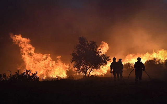 حرائق الغابات تخلّف رقما قياسيا من المناطق المحروقة في أوروبا