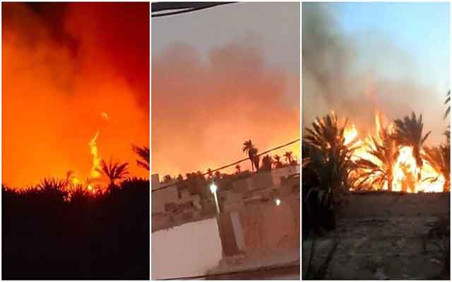 طاطا.. تفاصيل حريق مهول بواحة "إيمي أوكادير" حول الحقول إلى رماد( مع فيديو)