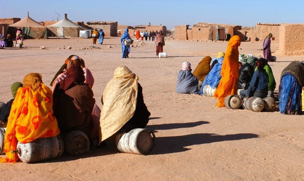 المفوضية الأممية لحقوق الإنسان تتناول توصيات المرصد الصحراوي بخصوص الوضع الحقوقي بمخيمات تيندوف