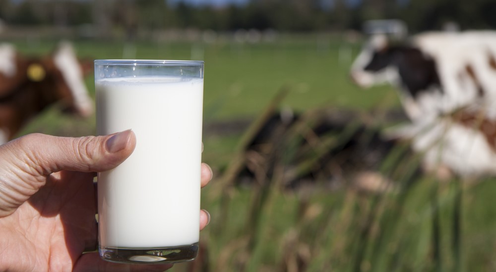 شركات الحليب تتحدى القانون وترفض تموين تجار الدارالبيضاء
