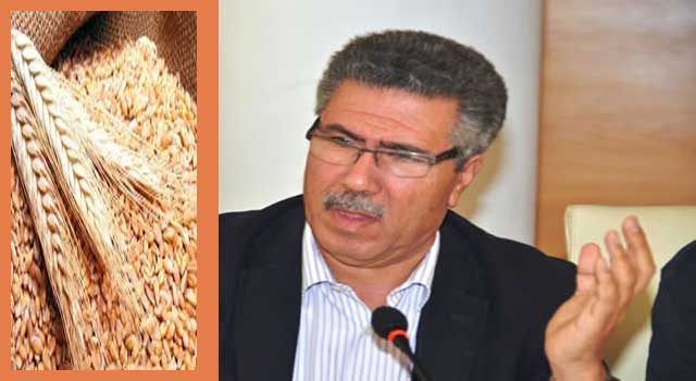 لماذا لم ينعكس انخفاض ثمن الحبوب عالميا على السوق المغربية..إقرأ جواب الهندوف
