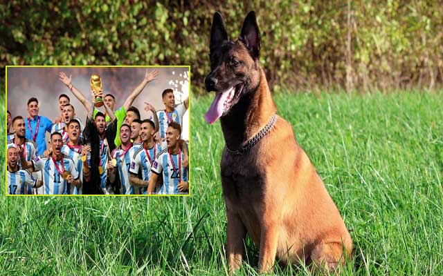 نجم الأرجنتين يختار أشرس كلب لحماية "ذهب مونديال"2022