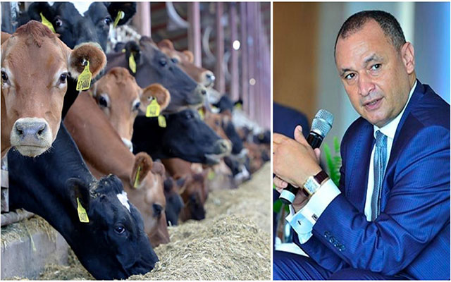 شبهات تسريب قرار الحكومة وقف رسوم استيراد الأبقار يجر الوزير مزور للمساءلة