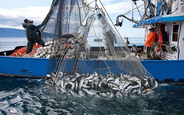 الصيد البحري: عملية استقبال البواخر بميناء أكادير خلال فترة التوقف البيولوجي