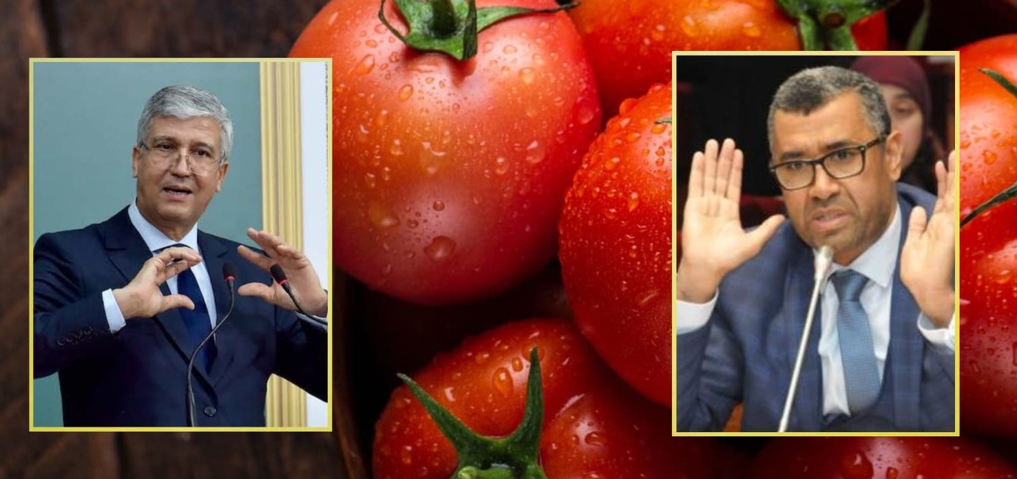 ارتفاع ثمن الطماطم يدخل البرلمان.. وتساؤلات عن شرائها وإعادة تصديرها للخارج