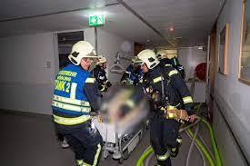 النمسا: وفاة ثلاثة مرضى في حريق بمستشفى جنوب فيينا