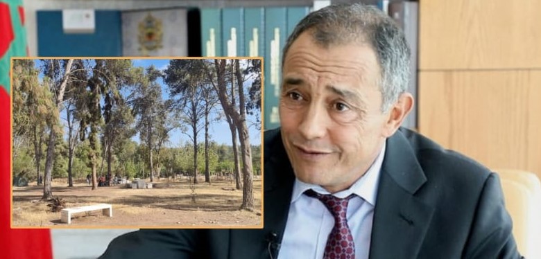 الشامي: الغابات تفقد 17 ألف هكتار كل سنة ويستوطنها 7 ملايين مغربي (مع فيديو)