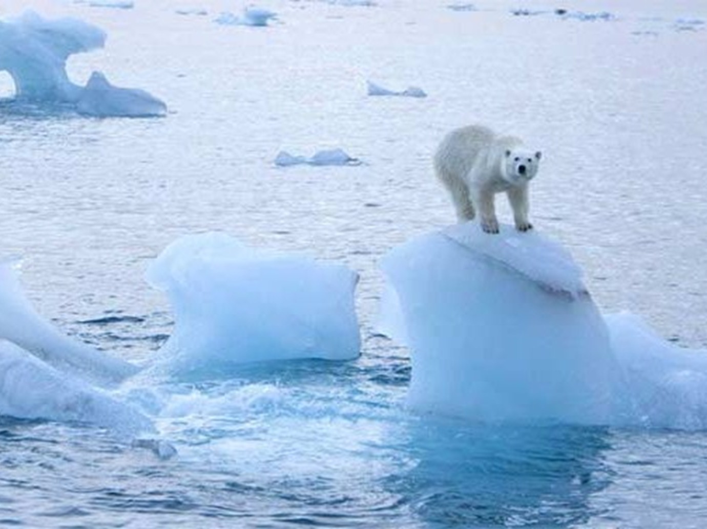 القطب الشمالي قد يصبح بلا جليد بحري صيفا  في أوائل العقد المقبل