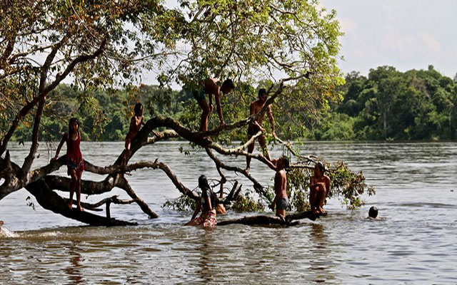 العثور على 4 أطفال أحياء بعدما تاهوا 40 يوما في أدغال الأمازون