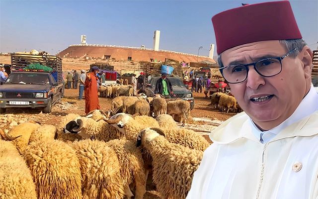 أسعار الأضاحي تكشف كذبة "المغرب الأخضر"
