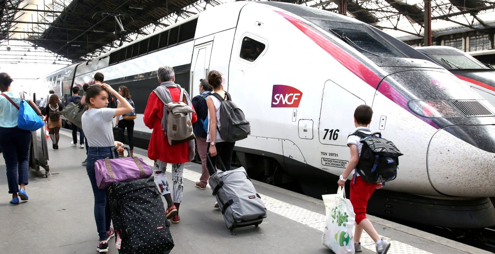 تغريم هيئة السكك الحديد الفرنسية في قضية دهس قط تحت عجلات قطار