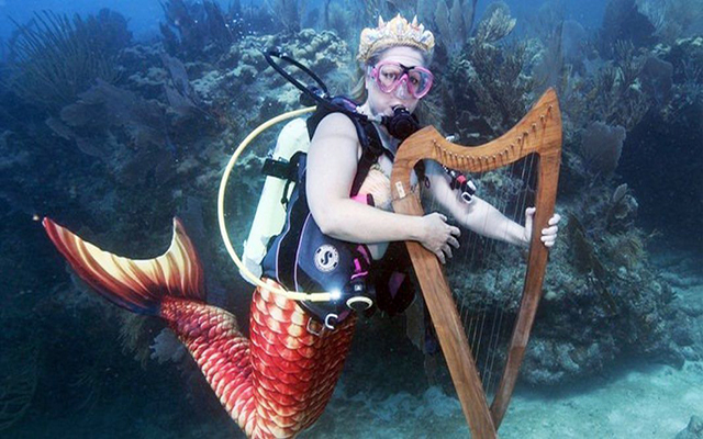 مهرجان موسيقي تحت الماء للحفاظ على الشعاب المرجانية