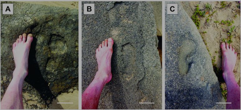 اكتشاف أقدم آثار أقدام بشرية على شواطئ العرائش