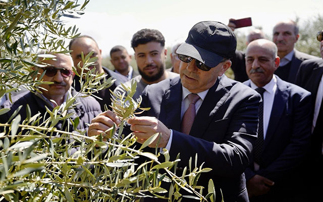 في زيارة ميدانية.. البواري يطلع على تقدم الموسم الفلاحي بمكناس والحاجب وإفران بعد التساقطات الأخيرة (مع فيديو)