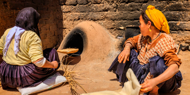 مكتب تنمية التعاون يحتفي بالزخم المتصاعد لريادة الأعمال الجماعية النسائية